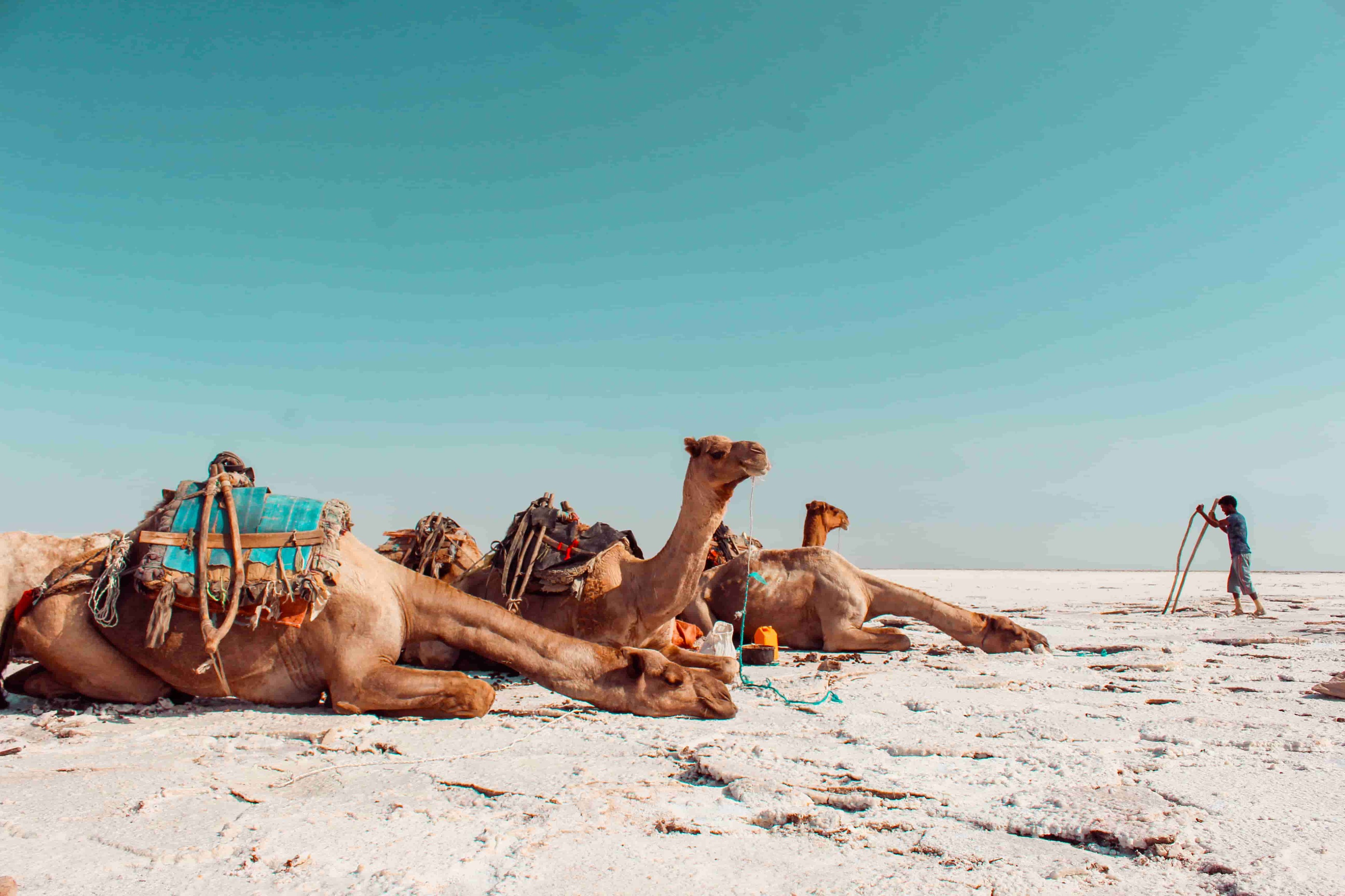 Afar & Danakil Depression Adventure